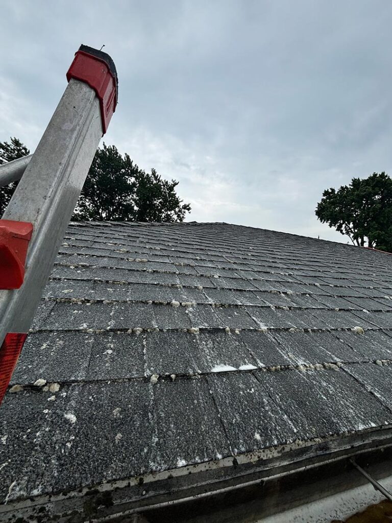 Roof-Cleaning-Residential-Buffalo-NY-2C
